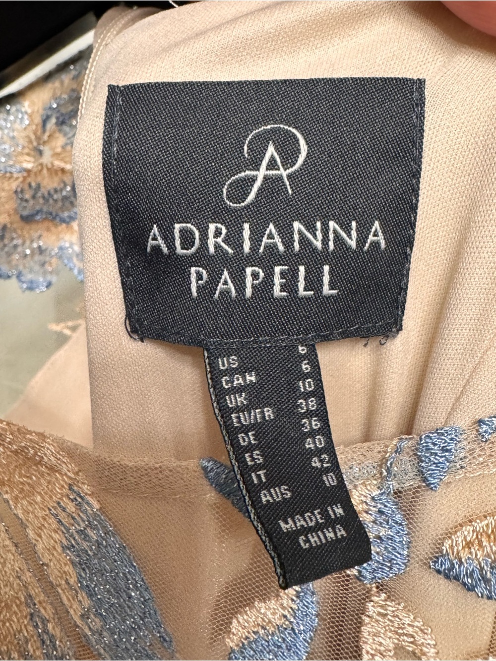Adrianna Papell Blush Maxi Dress with Silver-Blue Floral Embroidery - Picture 5 of 5